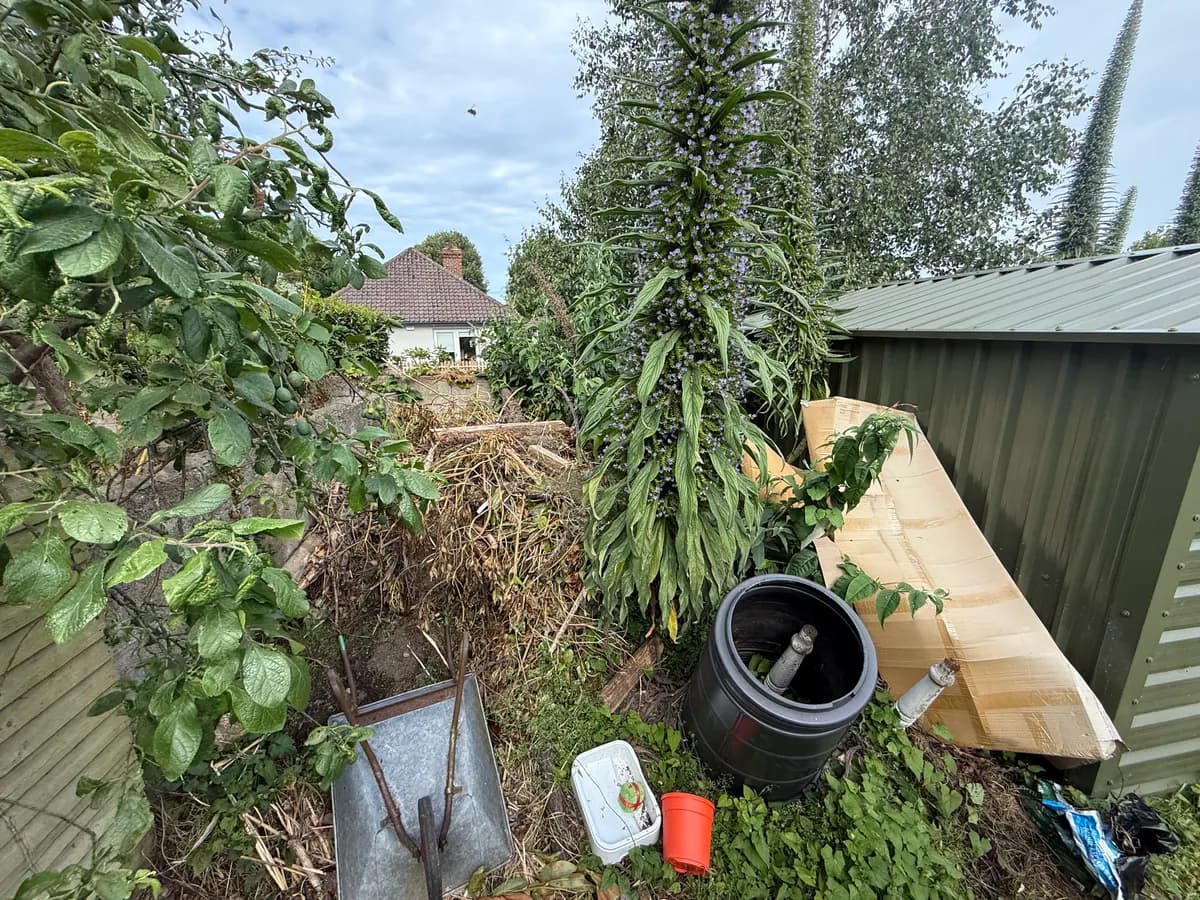 Cut branches, pots and unwanted items in a garden before clearance